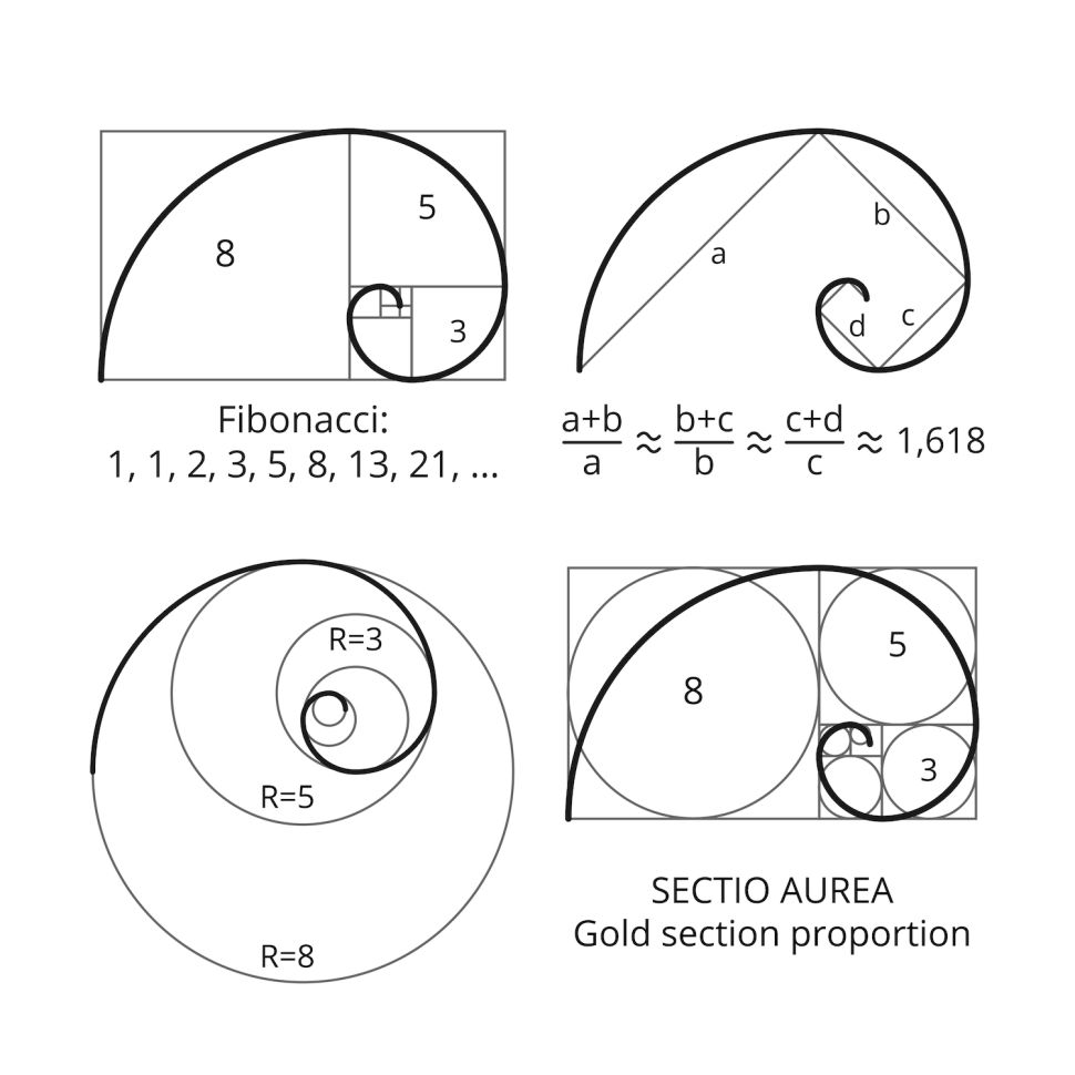 where does fibonacci sequence occur in nature